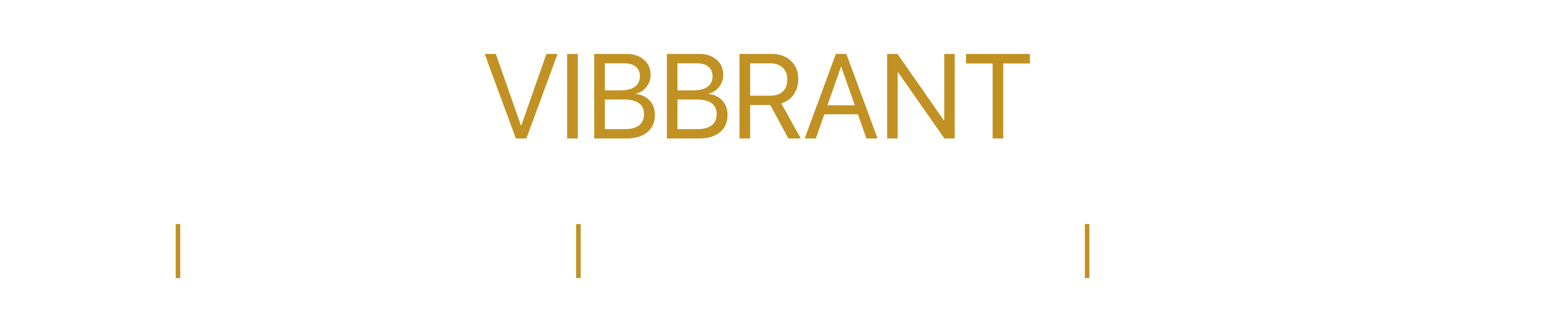 Vibbrant